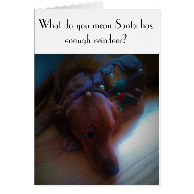 lustige Hundweihnachtskarte (Vorne)