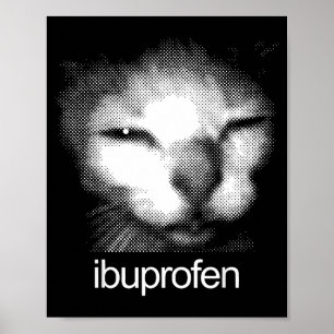 Lustige Ibuprofen-Katze Meme Retro Hässliches Katz Poster