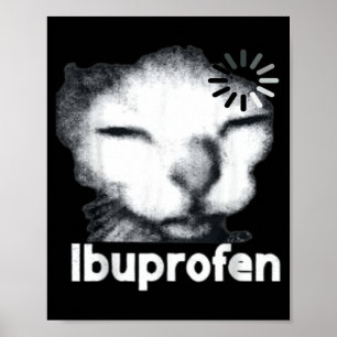 Lustige Ibuprofen-Katzen-Meme mit peinlicher hässl Poster