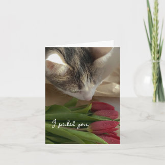 Lustige Ich liebe dich von der Katzenkarte Karte
