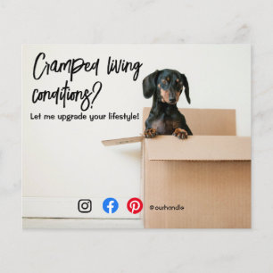 Lustige Immobilien-Postkarte beengtes Wohnen Hund  Flyer