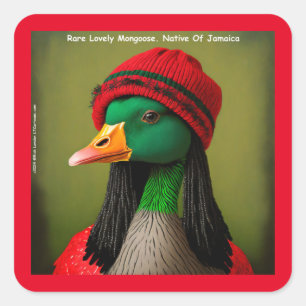 Lustige Jamaika-Manguste Kanadische Reggae-Gans Quadratischer Aufkleber