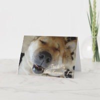 lustige japanische akita Hund lächeln danke