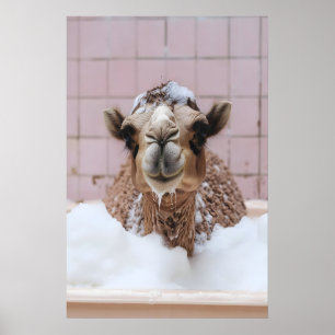 Lustige Kamel-Schaumbad-Kunst, skurrile Tiere Poster