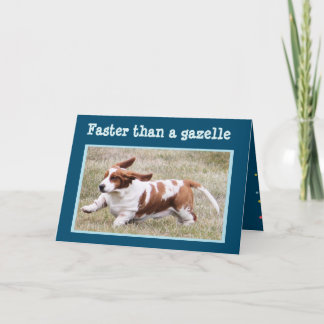 Lustige Karte mit "dem Geburtstags-Dachshund "