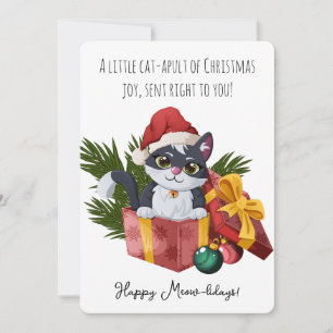 Lustige Kat-apult-Weihnachtsfreude springt aus der Feiertagskarte