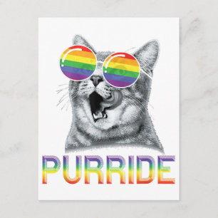 Lustige Katze Gay Pride Regenbogen Sonnenbrille LG Begleitkarte
