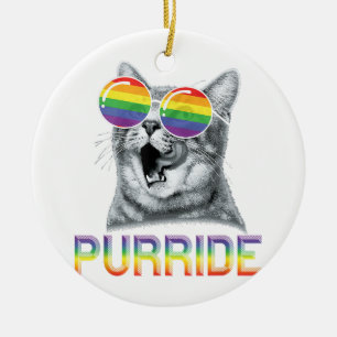 Lustige Katze Gay Pride Regenbogen Sonnenbrille LG Keramik Ornament