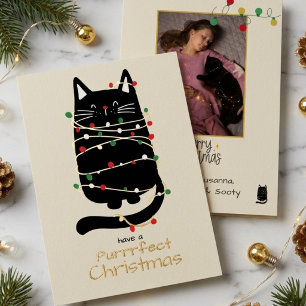 Lustige Katze in Lichtern Purr-fektes Weihnachts-G Folien Feiertagskarte