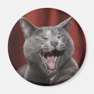 Lustige Katze Magnet