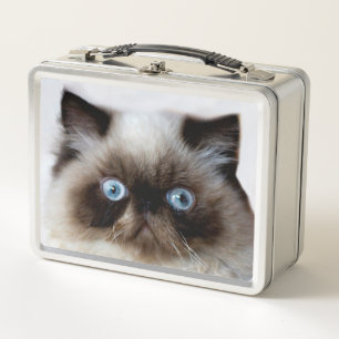 Lustige Katze Metall Brotdose