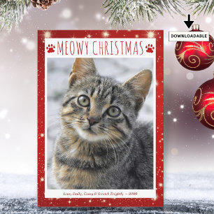 Lustige Katze MIAU WEIHNACHTEN Foto rote Pfotenabd