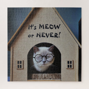 Lustige Katze mit Brille It's Meow or Never Zitat