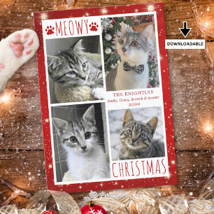 Lustige Katze Rotes MEOWY WEIHNACHTEN 4 Fotos