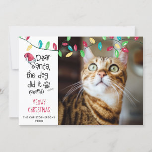 Lustige Katze sagt Frohe Weihnachten Foto Katzenna