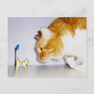 Lustige Katze starrt auf hölzerne Kitty-Statue Postkarte