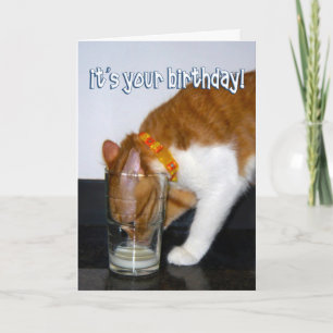 Lustige Katze trinkt aus Glas - Alles Gute zum Geb Karte