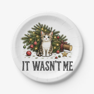 Lustige Katze Weihnachten Es war nicht ich Pappteller