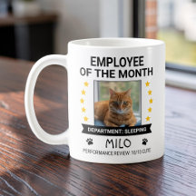 Lustige Katzen Büro Humor Mitarbeiter des Monats F