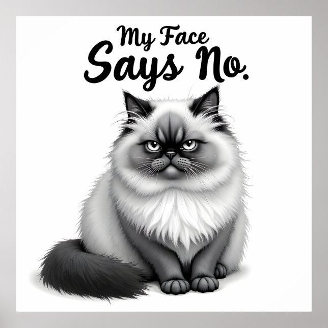 Lustige Katzen-Gesicht-Illustration – Minimale nie Poster (Vorne)