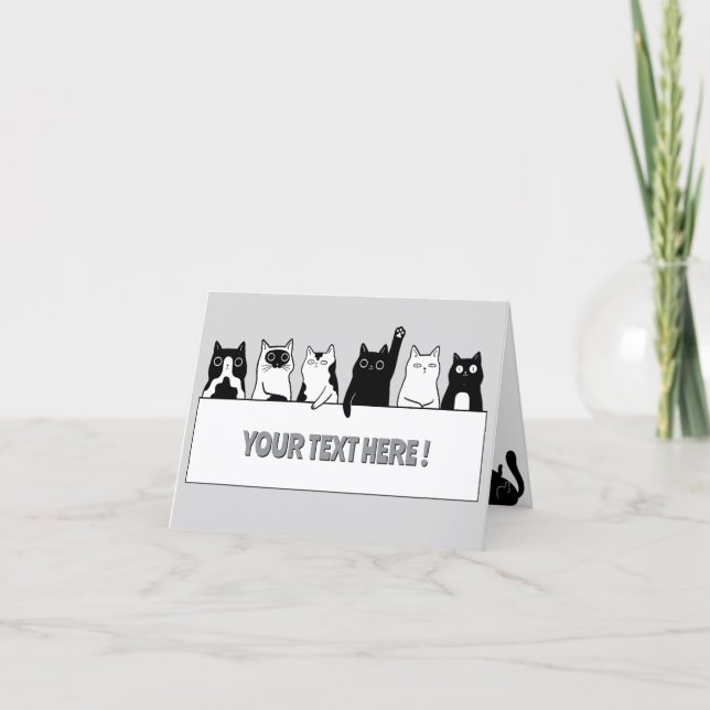 Lustige Katzen  Karte (Vorderseite)