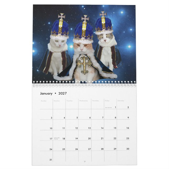 Lustige Katzen/Kätzchen Kalender (Jan 2027)