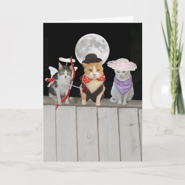Lustige Katzen/KätzchenValentine Feiertagskarte (Vorderseite)