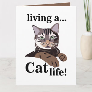 Lustige Katzen-Pet Karte