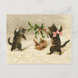 Lustige Katzen Schneeballschlacht Weihnachten im V