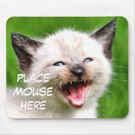 Lustige Katzen-siamesische Kätzchen-Platz-Maus Mousepad