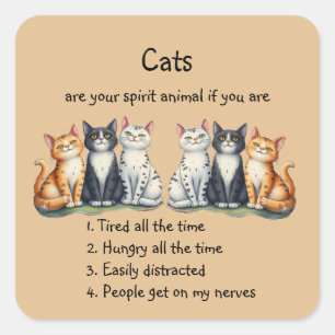 Lustige Katzen sind Spirit Animal Humor Cute Quadratischer Aufkleber