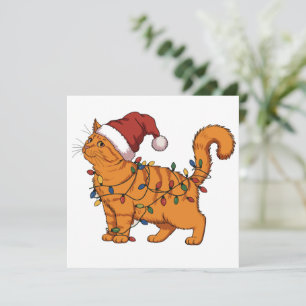 Lustige Katzen Weihnachten Orange Katze Mutter Hau