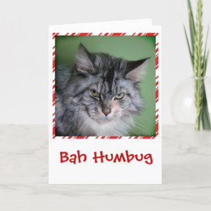 Lustige Katzen-Weihnachtsgrußkarte Feiertagskarte