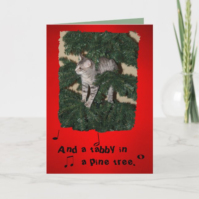 Lustige Katzen-Weihnachtsgrußkarte Feiertagskarte (Vorderseite)
