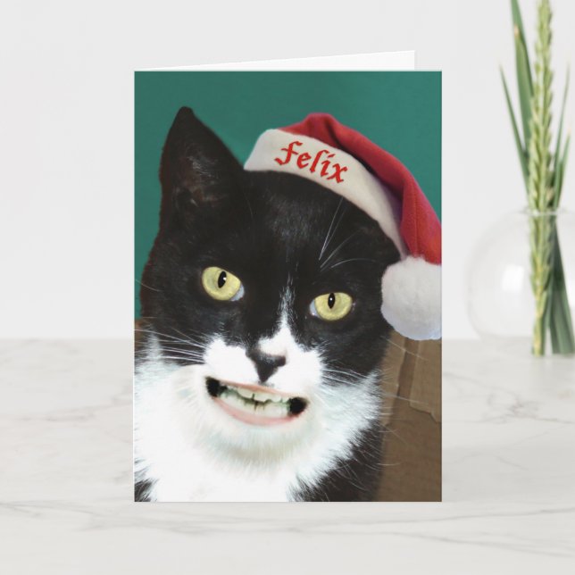 Lustige Katzen-Weihnachtskarte Feiertagskarte (Vorderseite)