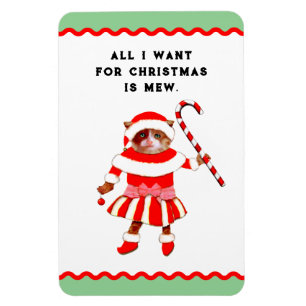 Lustige Katzen-Weihnachtskarten Magnet