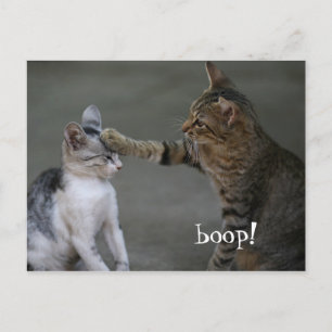 Lustige Katzenpostkarte Boop Postkarte