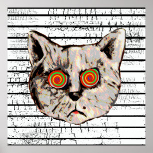 lustige Katzenspiralaugen Poster