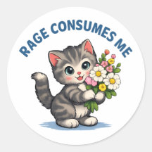 Lustige Katzenwut Übermannt Mich