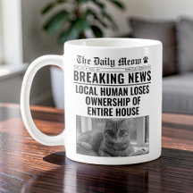 Lustige Katzenzeitung Breaking News Foto
