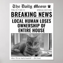 Lustige Katzenzeitung Breaking News Foto