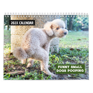 Lustige kleine Hunde, die 2027 koten Kalender