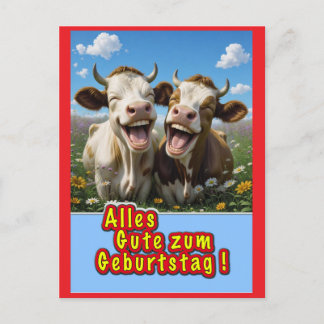 lustige kühe postkarte