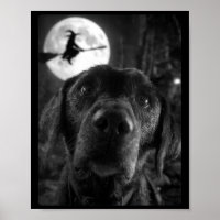 Lustige Labrador-Selfie Damen Vollmond Fliegend