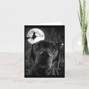 Lustige Labrador-Selfie Vollmond Flug Damen Karte