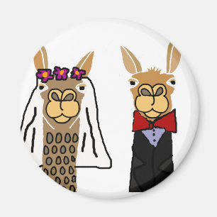 Lustige Lama-Braut-und Bräutigam-Hochzeits-Kunst Magnet