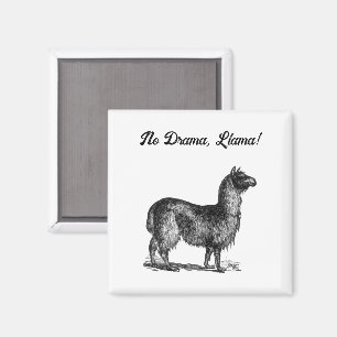 Lustige Lama-Skizze, süße Tier-Tuschezeichnung Magnet