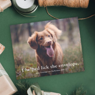 Lustige Lick the Envelope Haustier Weihnachtskarte