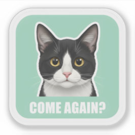 Lustige Meme-Katze – „Komm nochmal?“ Sassy-Katzenr Aufkleber