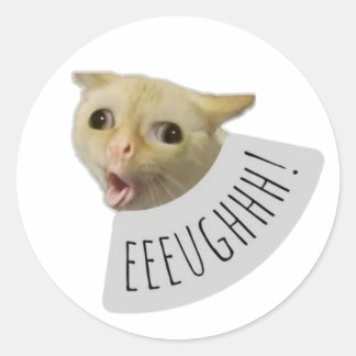 lustige Meme-Katze Runder Aufkleber